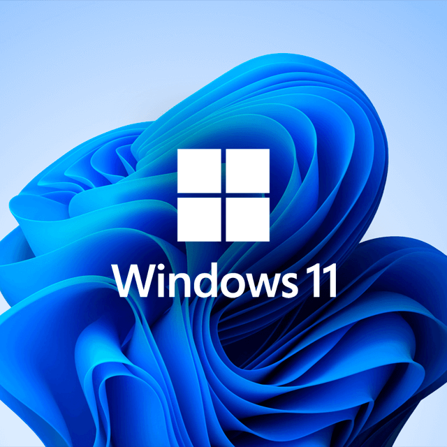 Windows 11